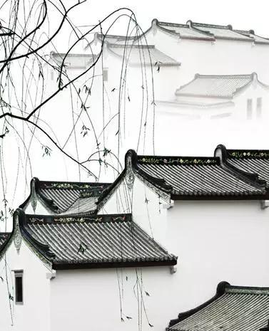 摄影 ：要玩好摄影有什么诀窍？ 8大题材不容错过(图8)