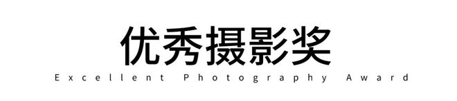 第一幅作品就有点猛优秀摄影作品奖！来看你的水平够入围吗？(图1)