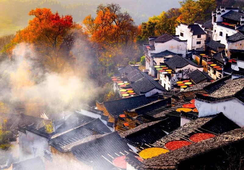 2023相约婺源摄影之秋四天婺源精品摄影创作团(图7)