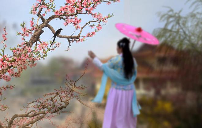 摄影指南：摄影“三宝”如果你学会了出片率大增(图4)
