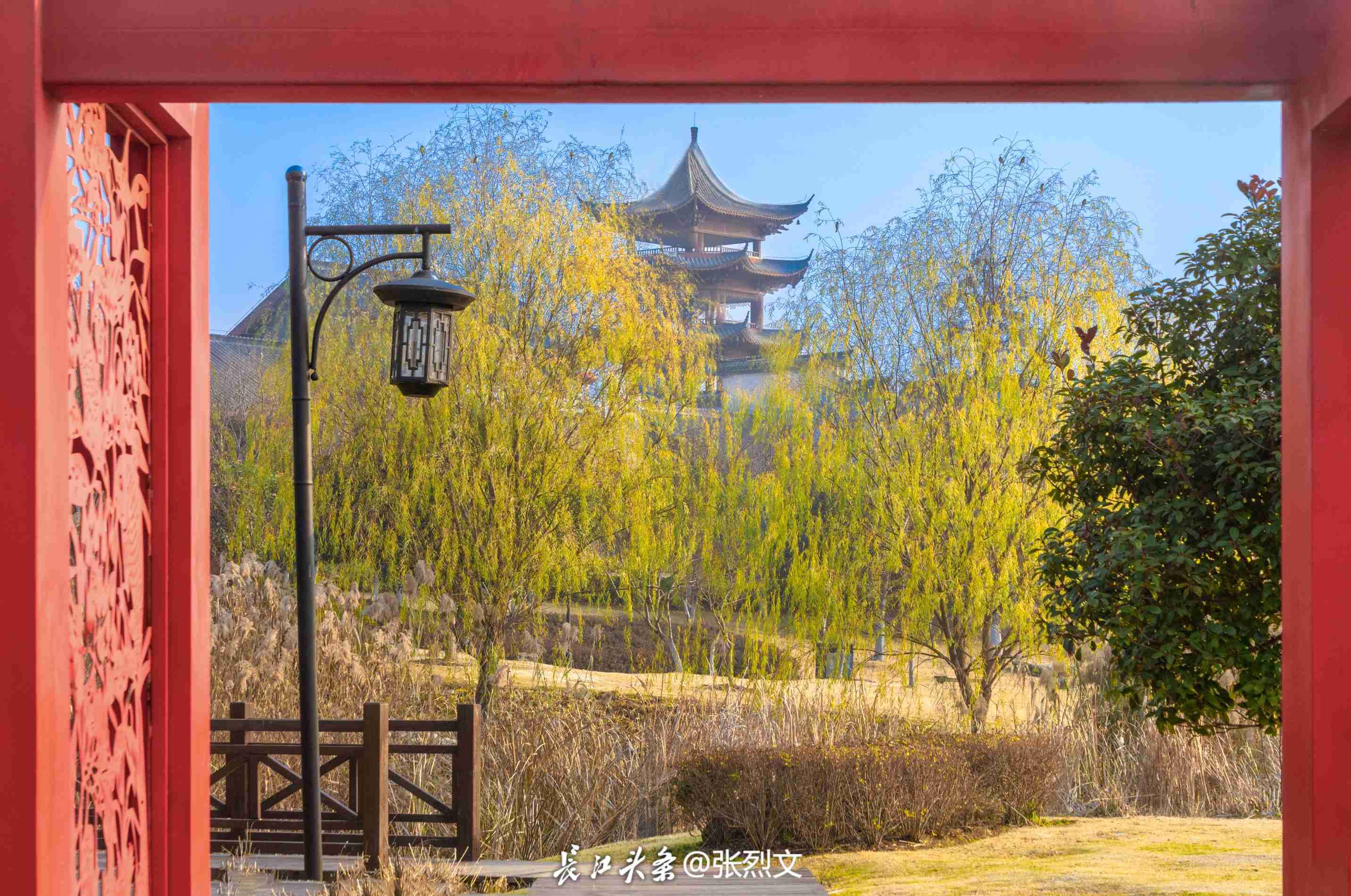 有点“东西”！摄影大咖齐举镜头漫游东西湖(图2)