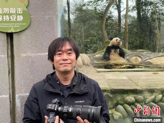 日本大熊猫摄影师：“香香”是我与中国精彩故事的起点(图1)