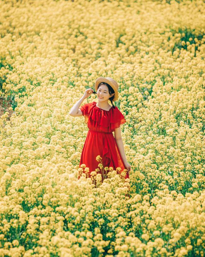 米乐m6官网登录入口春天手机摄影10个油菜花拍照姿势人美花美照片美(图1)