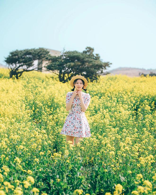 米乐m6官网登录入口春天手机摄影10个油菜花拍照姿势人美花美照片美(图5)