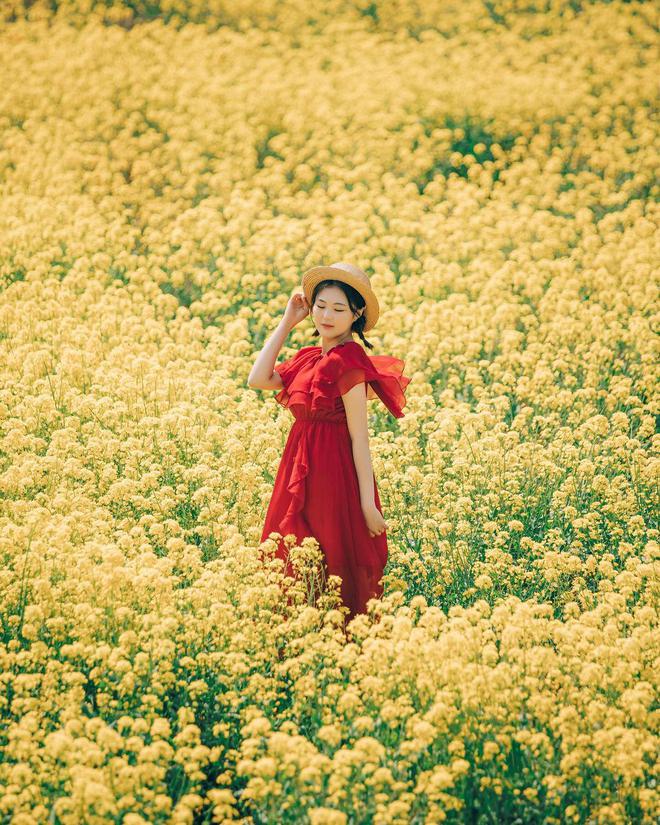 米乐m6官网登录入口春天手机摄影10个油菜花拍照姿势人美花美照片美(图3)