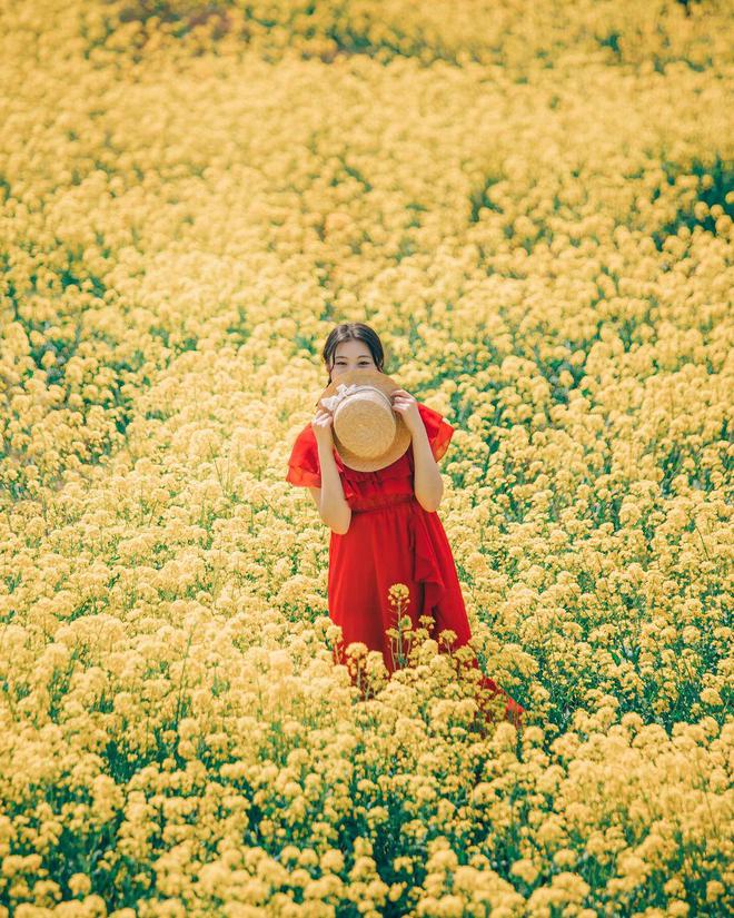 米乐m6官网登录入口春天手机摄影10个油菜花拍照姿势人美花美照片美(图2)
