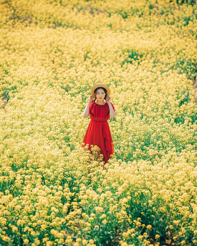 米乐m6官网登录入口春天手机摄影10个油菜花拍照姿势人美花美照片美(图12)