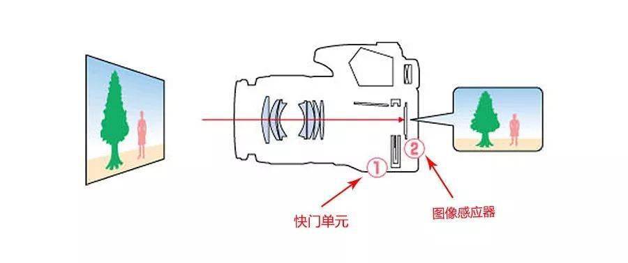 摄影｜ 摄影基础知识（三）米乐m6官网登录入口(图18)