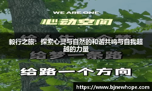 先锋娱乐平台